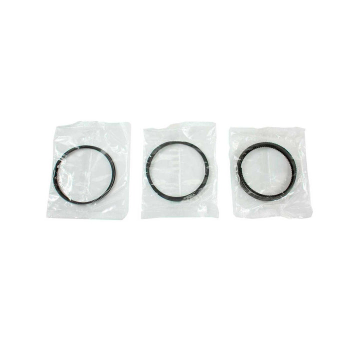 Engine Piston and Ring Kit