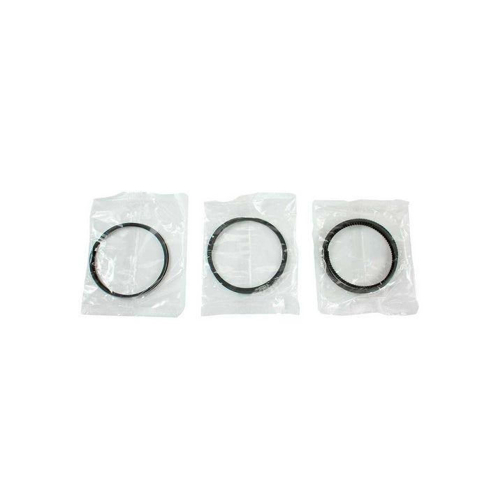 Engine Piston and Ring Kit