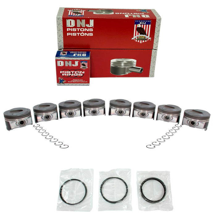 Engine Piston and Ring Kit