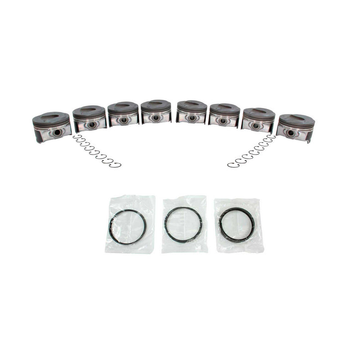 Engine Piston and Ring Kit