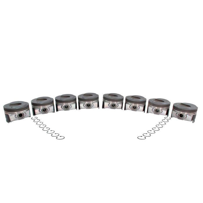 Piston Set w/ Rings