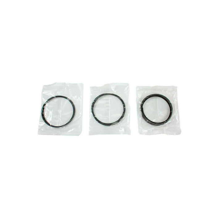Engine Piston and Ring Kit
