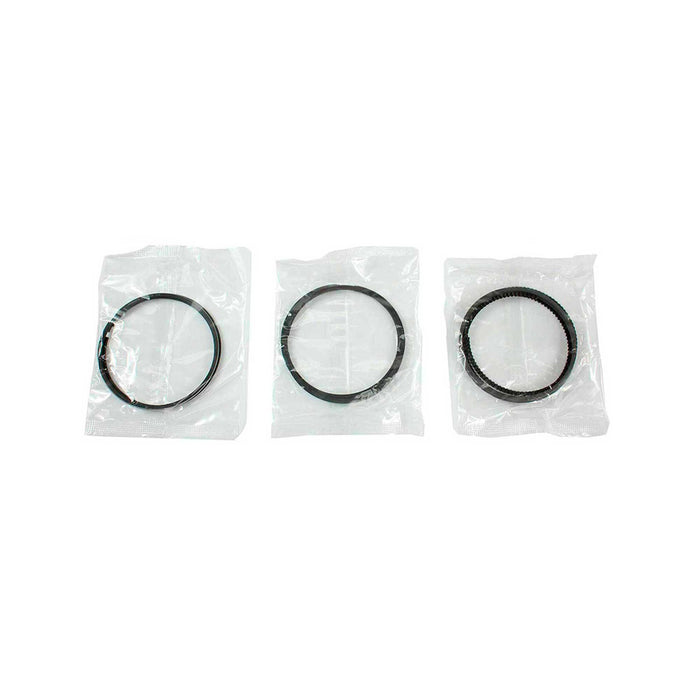 Engine Piston and Ring Kit