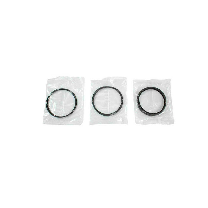 Piston Set w/ Rings