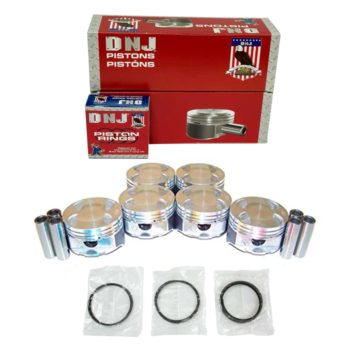 Piston Set w/ Rings