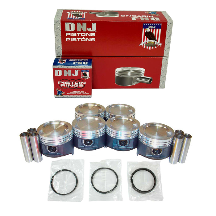 Piston Set w/ Rings