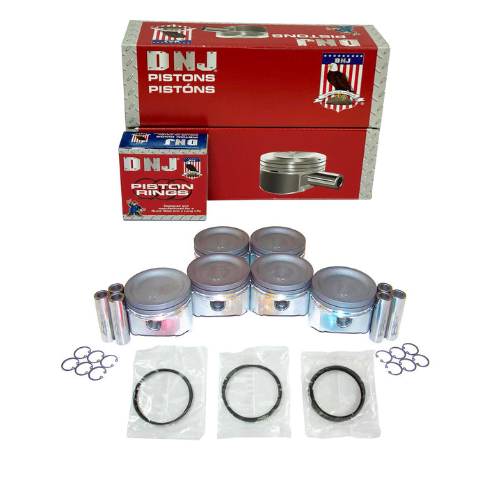 Piston Set w/ Rings