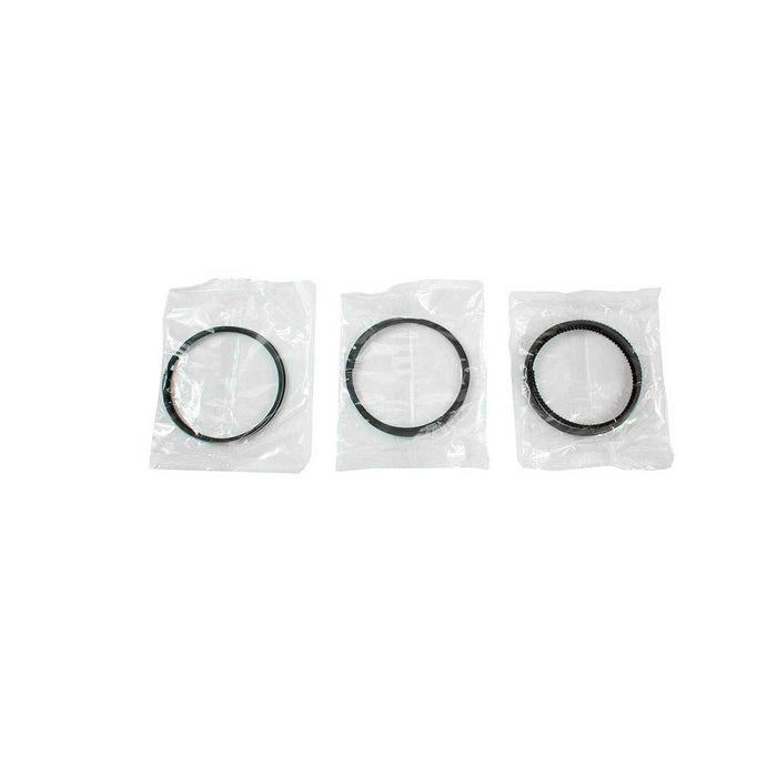 Piston and Ring Kit