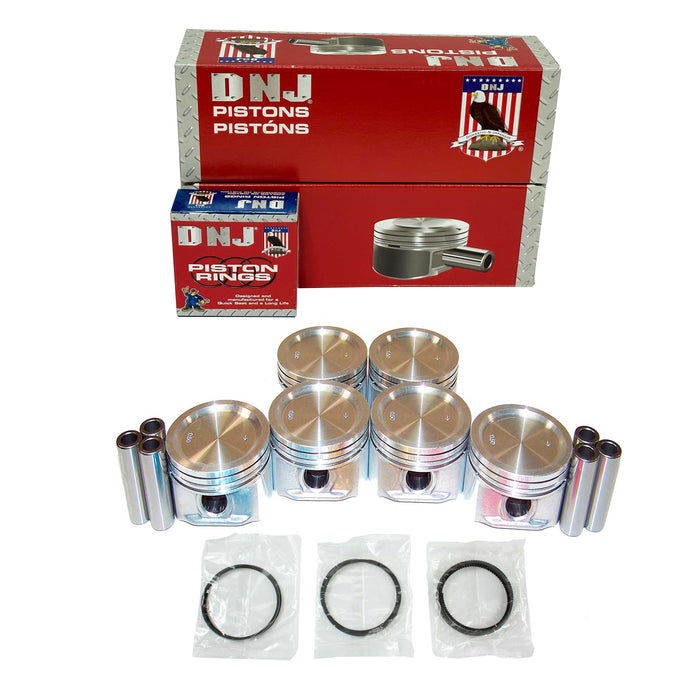 Piston Set w/ Rings