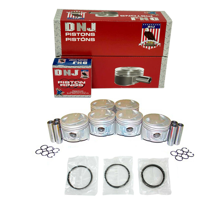 Piston Set w/ Rings