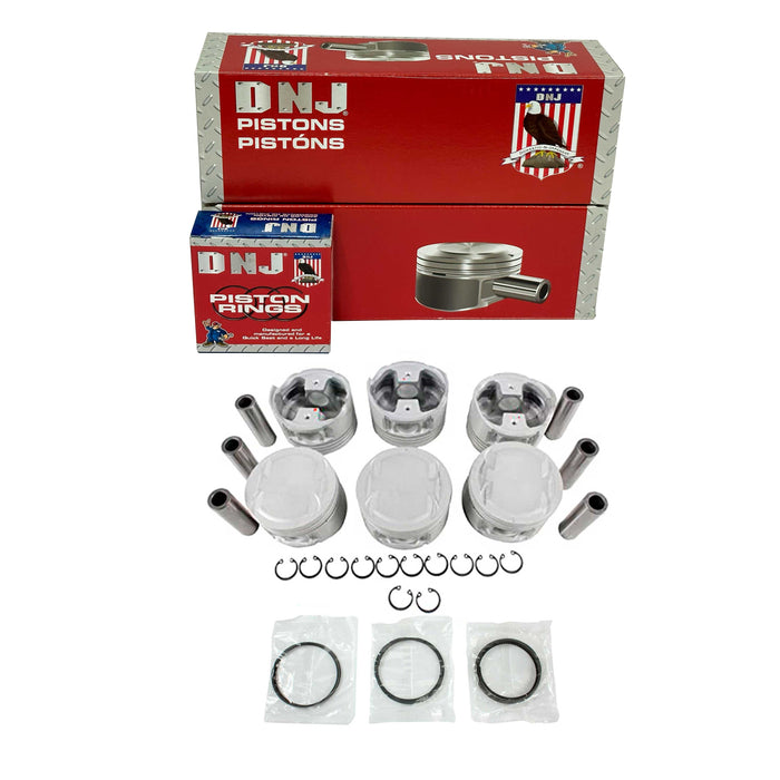 Piston Set w/ Rings