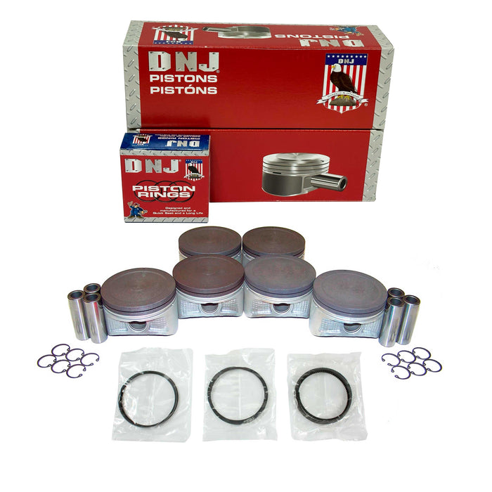 Piston Set w/ Rings