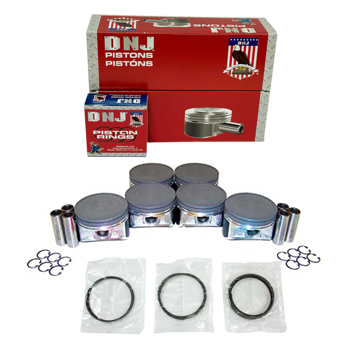 Piston Set w/ Rings