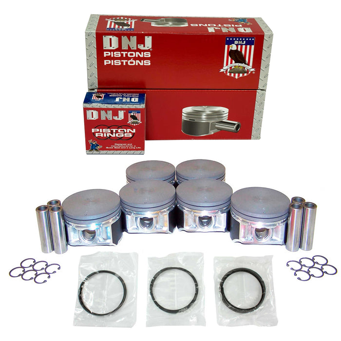 Piston Set w/ Rings
