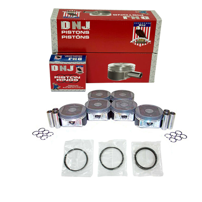Piston Set w/ Rings