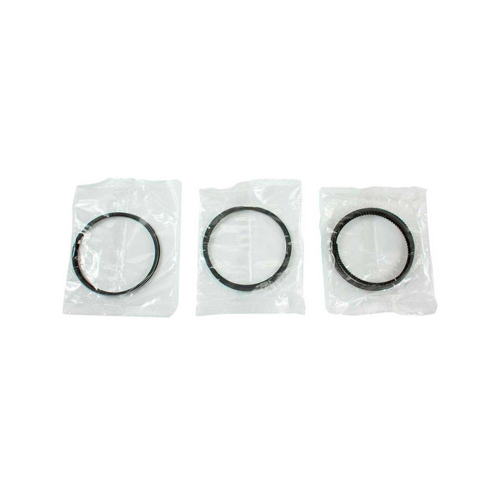 Engine Piston and Ring Kit