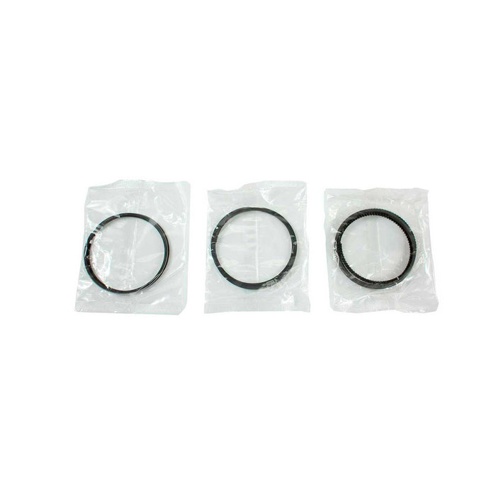Engine Piston and Ring Kit
