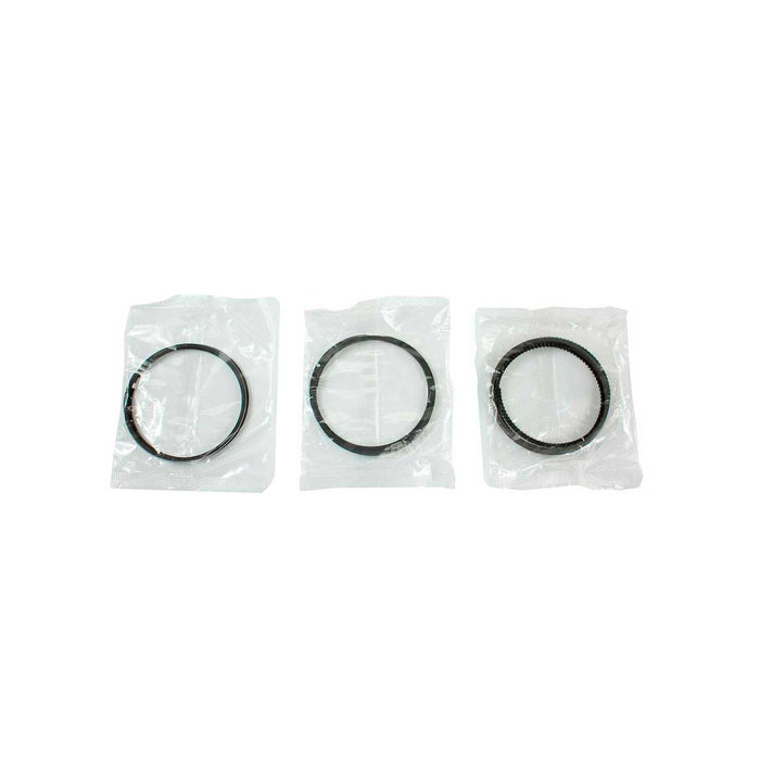 Engine Piston and Ring Kit