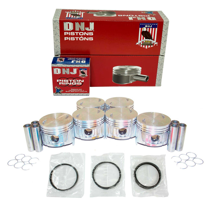 Piston Set w/ Rings