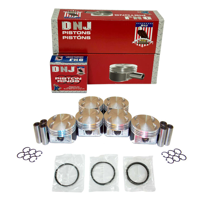 Piston Set w/ Rings