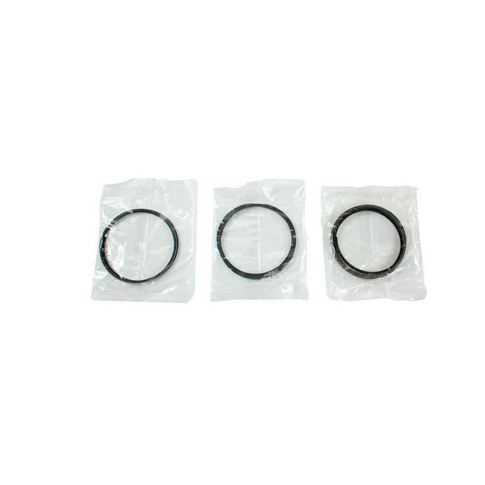 Engine Piston and Ring Kit