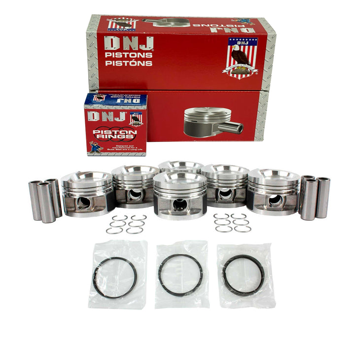 Piston Set w/ Rings
