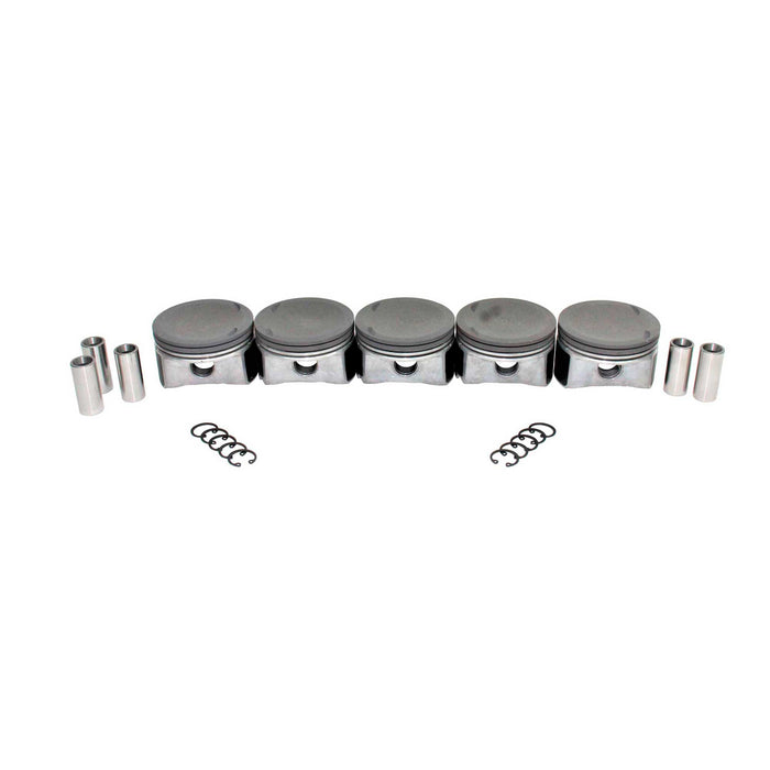 Engine Piston and Ring Kit