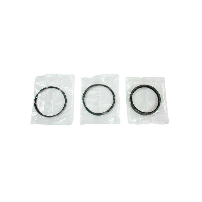 Engine Piston and Ring Kit