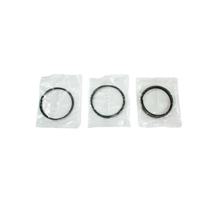 Engine Piston and Ring Kit