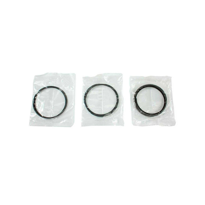 Piston Set w/ Rings