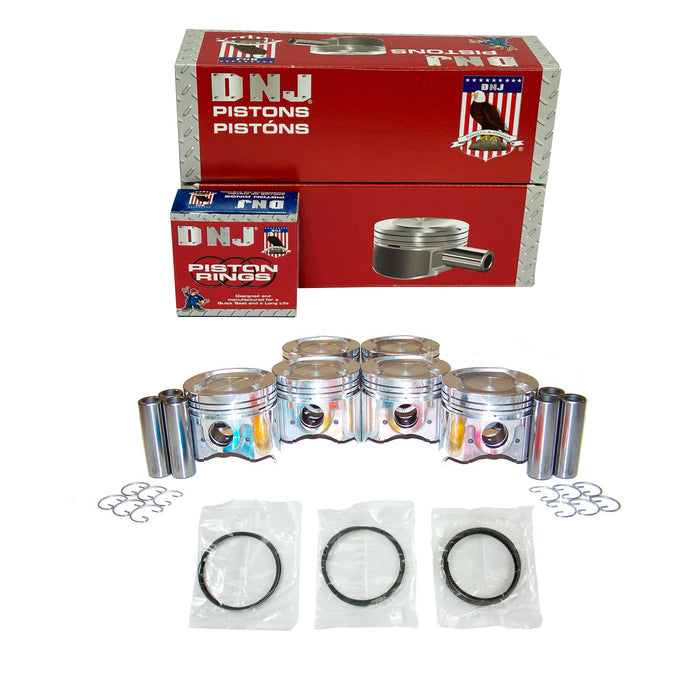Piston Set w/ Rings