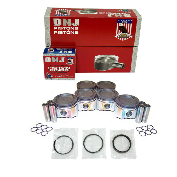 Piston Set w/ Rings