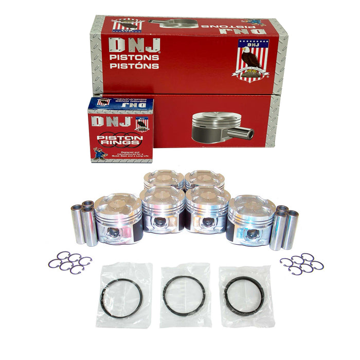 Piston Set w/ Rings