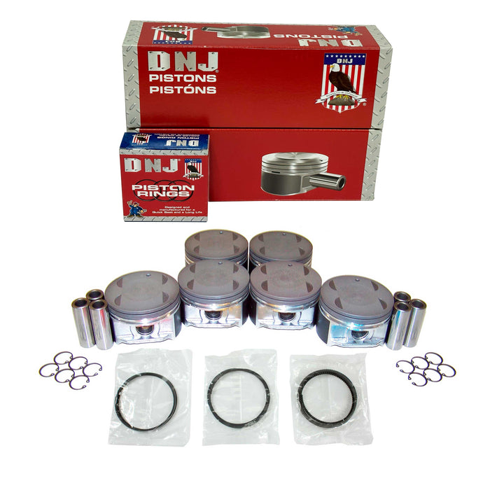 Piston Set w/ Rings