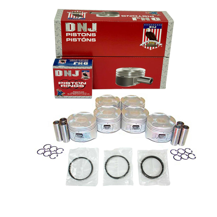 Piston Set w/ Rings