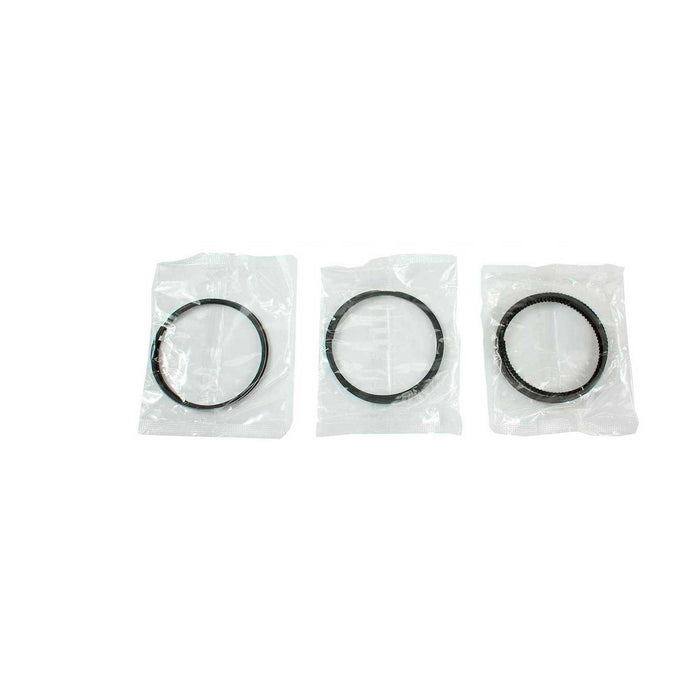 Engine Piston and Ring Kit