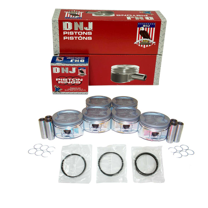 Piston Set w/ Rings