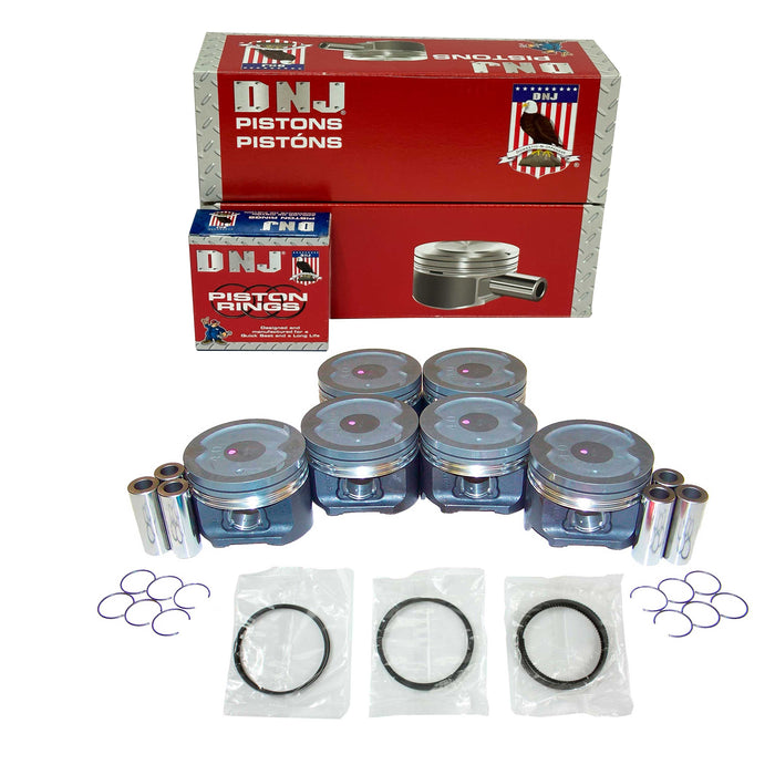 Piston Set w/ Rings