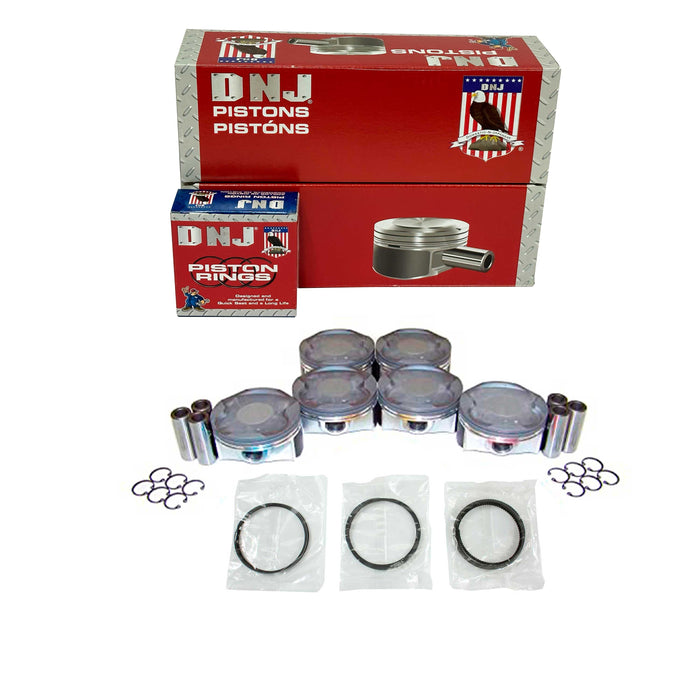 Piston Set w/ Rings