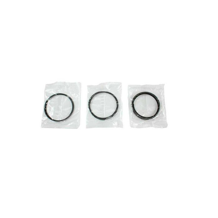 Engine Piston and Ring Kit