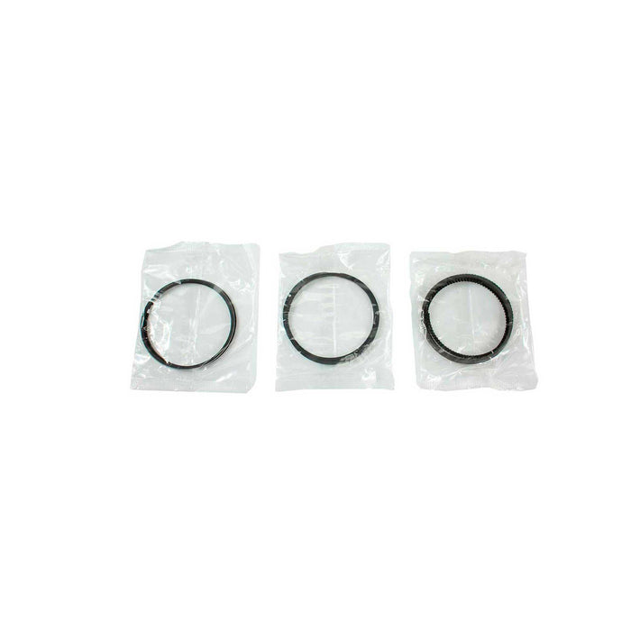 Engine Piston and Ring Kit