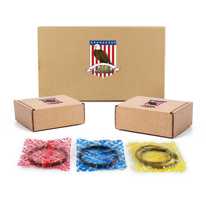 Engine Re-Ring Kit