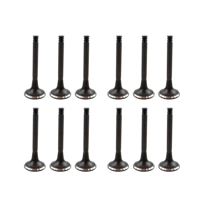 Exhaust Intake Valve Kit