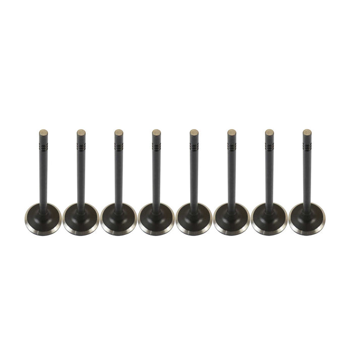 Exhaust / Intake Valve Kit