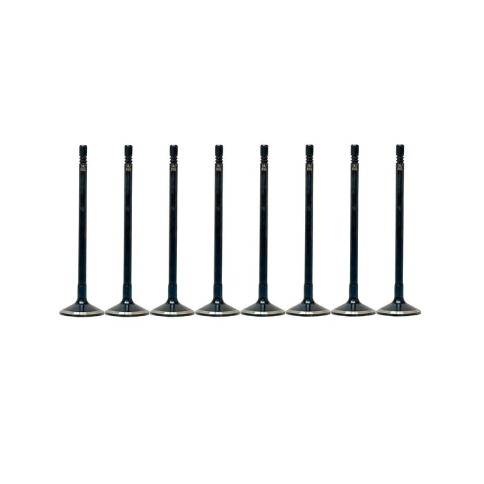 Exhaust / Intake Valve Kit