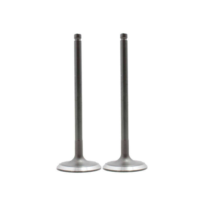 Exhaust / Intake Valve Kit