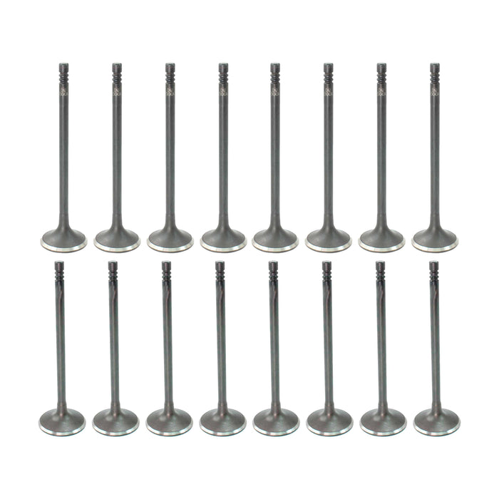 Exhaust / Intake Valve Kit