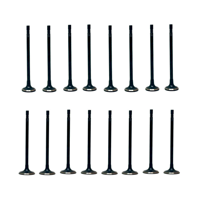Exhaust / Intake Valve Kit