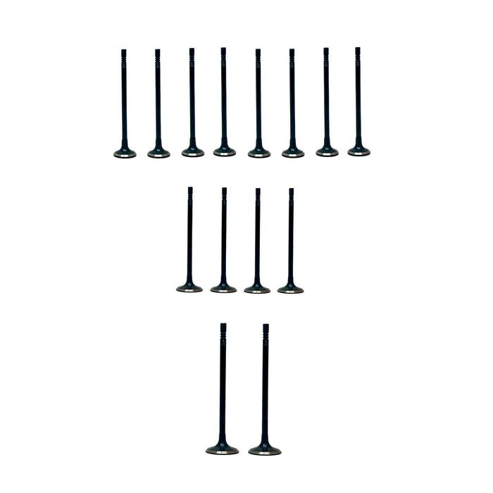 Exhaust / Intake Valve Kit
