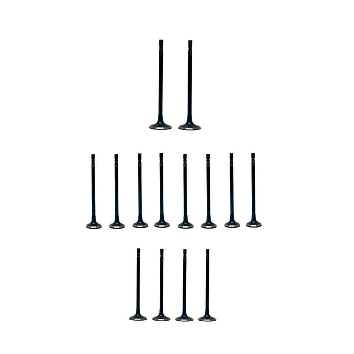 Exhaust / Intake Valve Kit